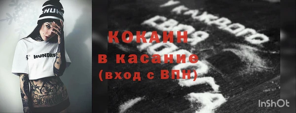 крисы Алексин