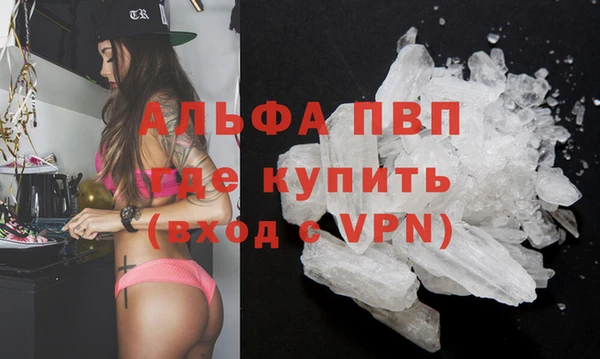 крисы Алексин