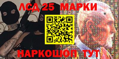 гашик Гатчина