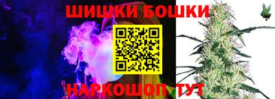гашик Гатчина