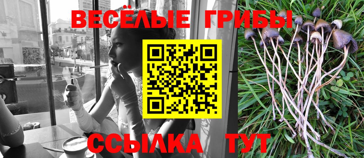 Галлюциногенные грибы Psilocybine cubensis Углич