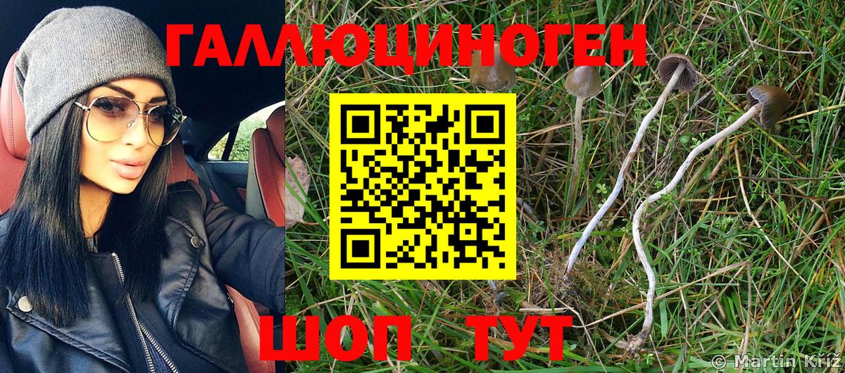 Углич  Псилоцибиновые грибы Magic Shrooms  Галлюциногенные грибы ЛСД  Вход с VPN 